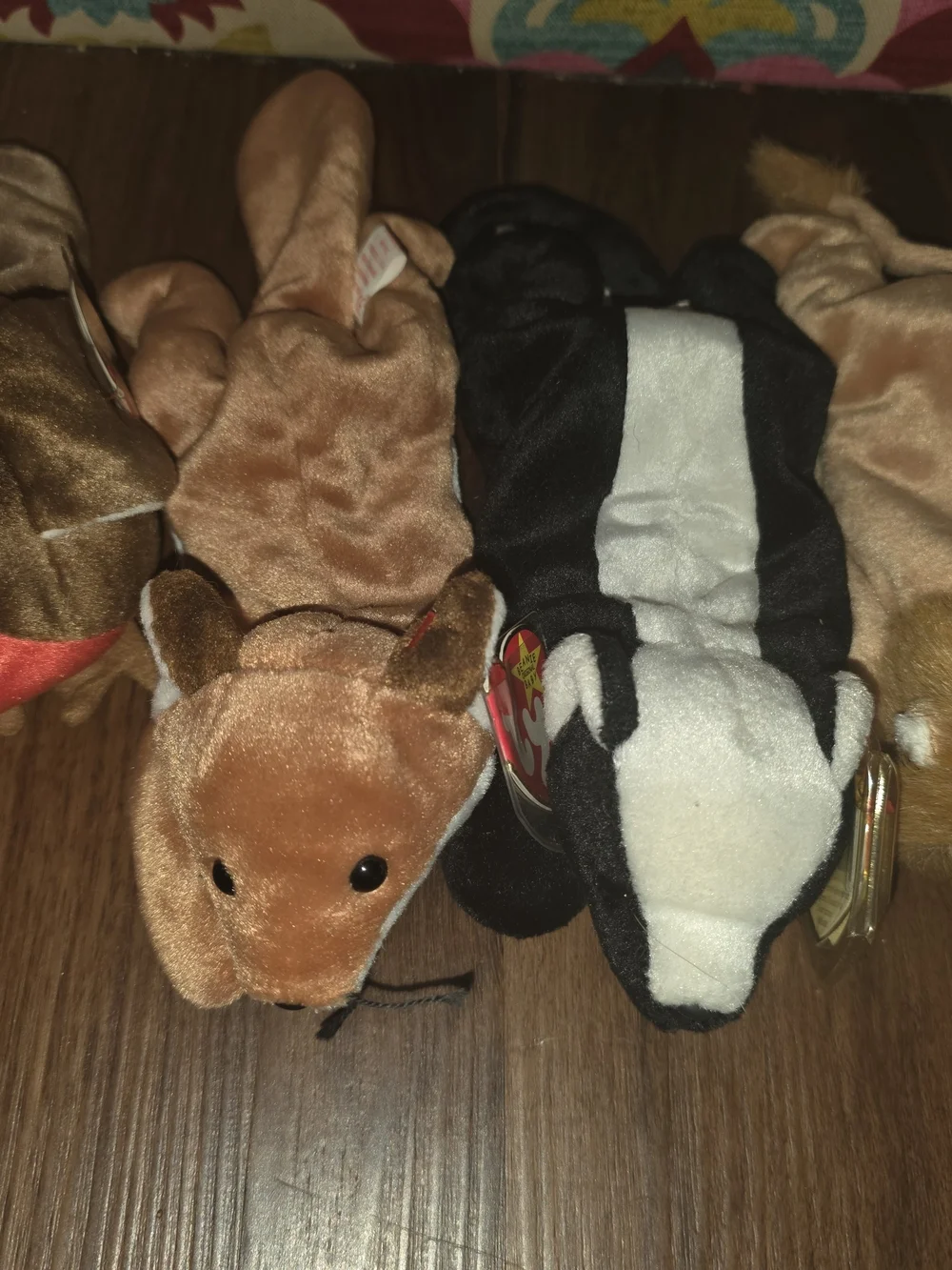 Ty Plush Small Pets Set - Brown, Black, Cream, Red Accents